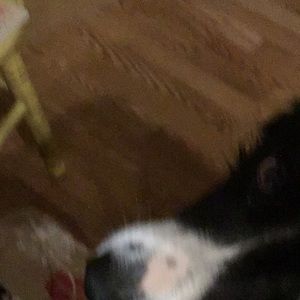 Meet your Posher, Tom